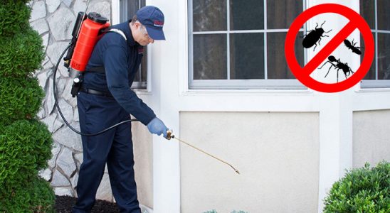 Doğanyurt Kemirgen İlaçlama böcek ilaçlama ve haşere kontrolü — ilaclama-tr.com
